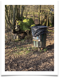Bin - Chris Berg